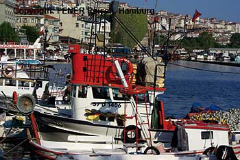 Der Fischereihafen von Sinop in der T&uuml;rkei am Schwarzen Meer